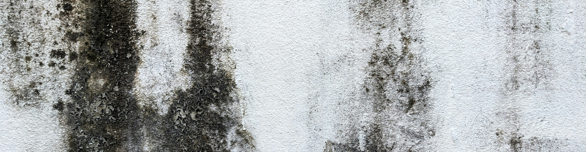 mould on a wall in an occupied home