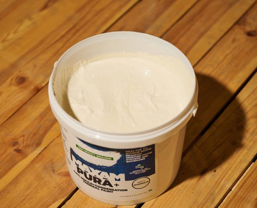 PURA+ Thermal Anti-mould Paint