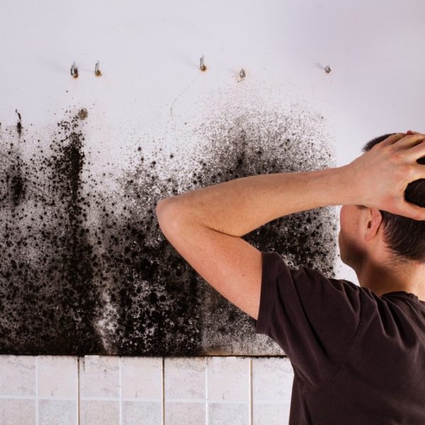 black mould stachybotrys home tenant repair
